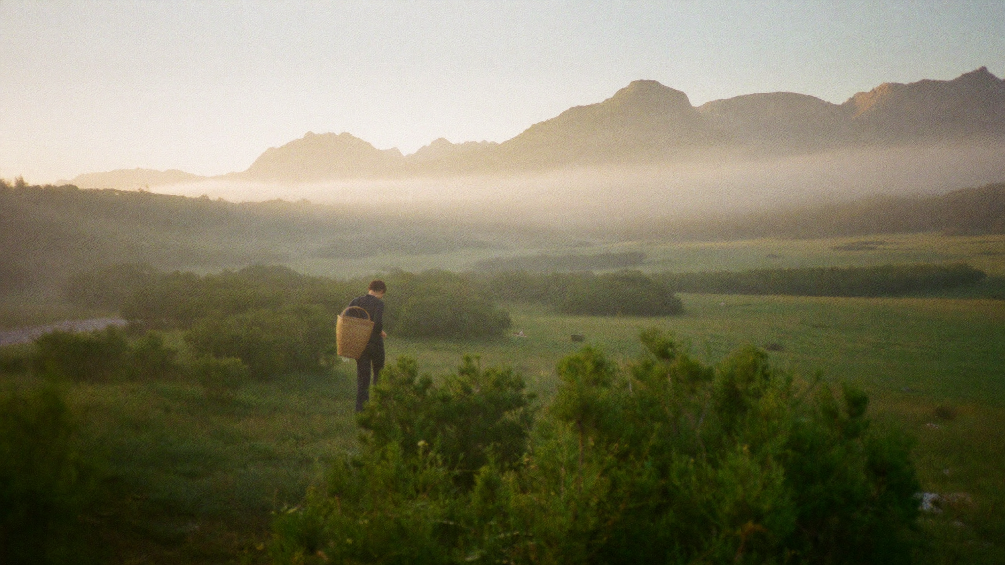 An early-morning forager walking a misty slope above Raron in the Rhône Valley